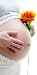 признаки беременности, животик беременности
